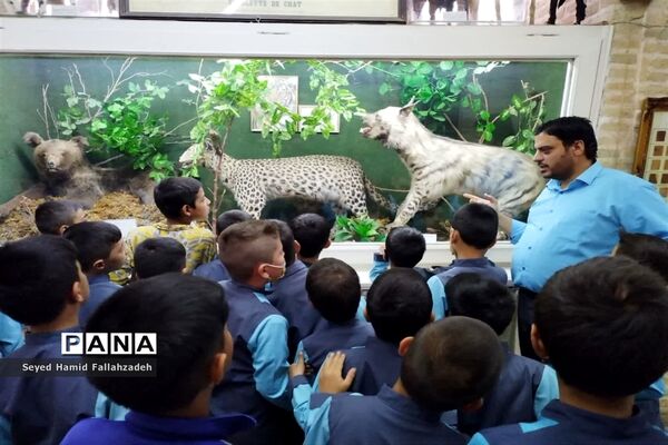 بازدید دانش‌آموزان دبستان قاسم(ع) ناحیه یک از موزه علوم طبیعی یزد