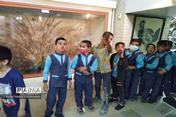بازدید دانش‌آموزان دبستان قاسم(ع) ناحیه یک از موزه علوم طبیعی یزد