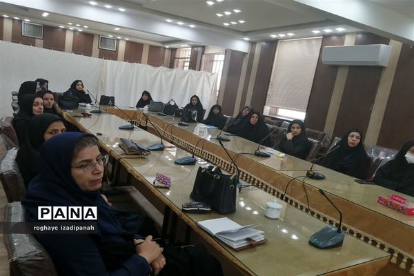 برگزاری کارگاه پیشگیری از اورژانس‌های روانپزشکی در خاتم