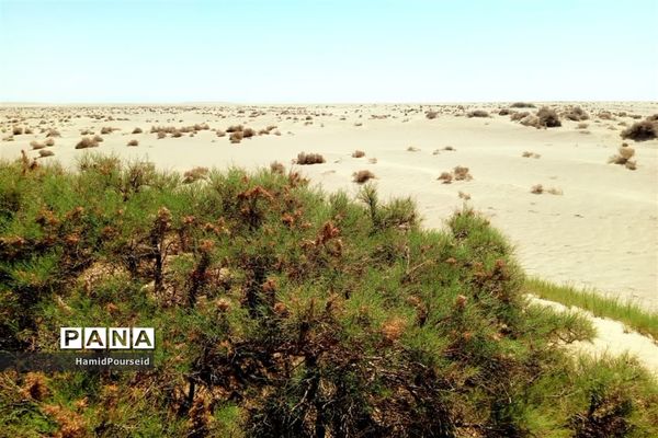 زیبایی‌های کویر و بیابان ابرکوه