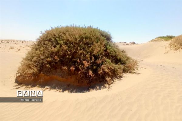 زیبایی‌های کویر و بیابان ابرکوه