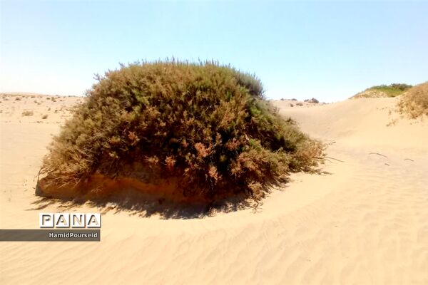 زیبایی‌های کویر و بیابان ابرکوه