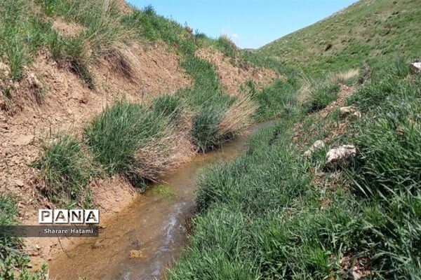 طبیعت زیبای روستای بارده، کرسنک