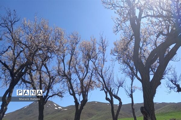 طبیعت زیبای روستای بارده، کرسنک