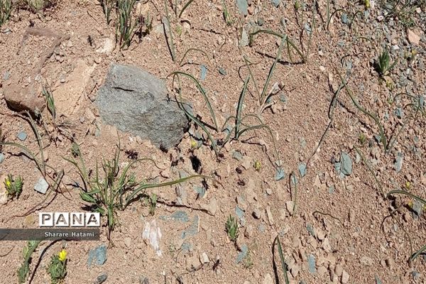 طبیعت زیبای روستای بارده، کرسنک