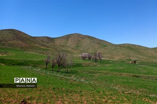 طبیعت زیبای روستای بارده، کرسنک