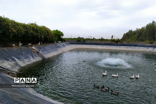 بازدید دانش‌آموزان دبیرستان نوشین بختیاری از گلخانه آلاله بخش جوادآباد بمناسبت هفته مشاغل