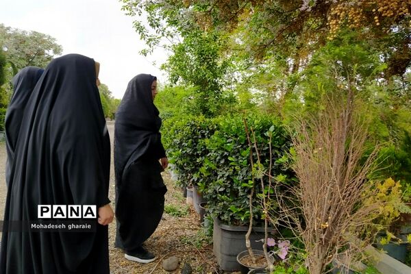 بازدید دانش‌آموزان دبیرستان نوشین بختیاری از گلخانه آلاله بخش جوادآباد بمناسبت هفته مشاغل