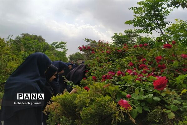 بازدید دانش‌آموزان دبیرستان نوشین بختیاری از گلخانه آلاله بخش جوادآباد بمناسبت هفته مشاغل