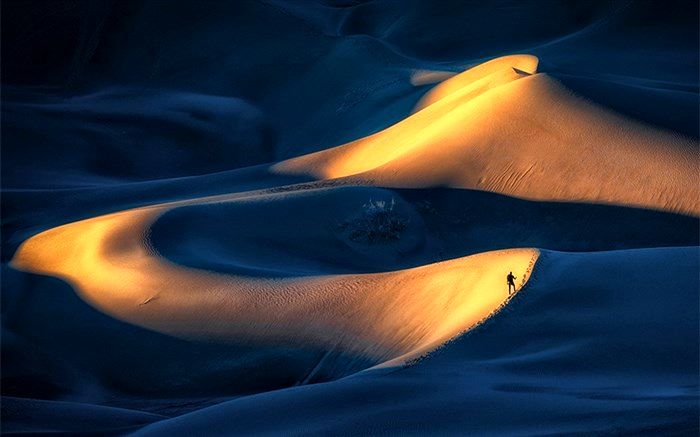 وقتی عکاسان قافیه را به موبایل‌ها باختند