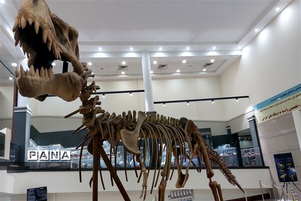 برگزاری کارگاه آشنایی با شهاب سنگ ها در پارک موزه علوم زمین مشهد