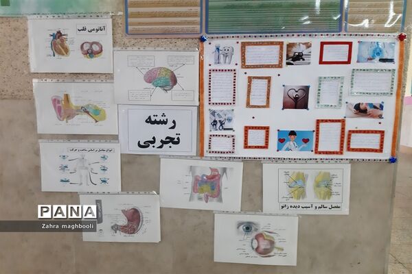 برپایی نمایشگاه معرفی مشاغل خانگی در مدرسه مهربانان ملارد