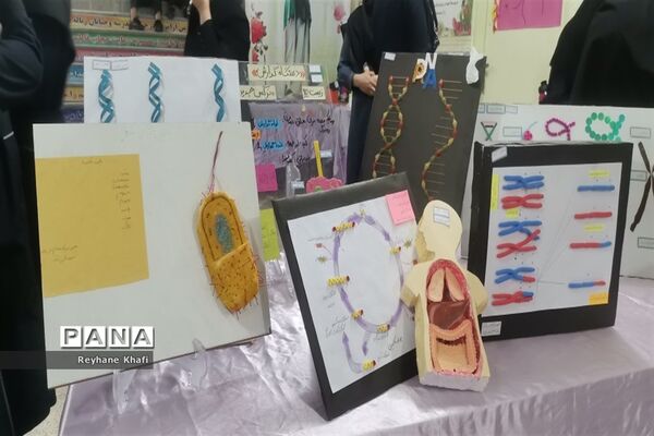 برگزاری جشنواره زیست‌شناسی در دبیرستان کوثر