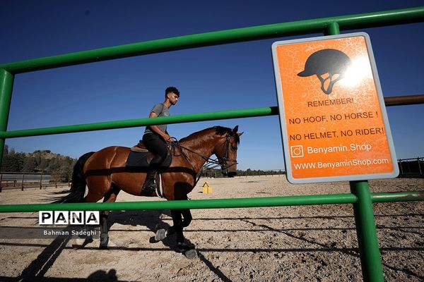 مسابقات جهانی سوارکاری  در ایران