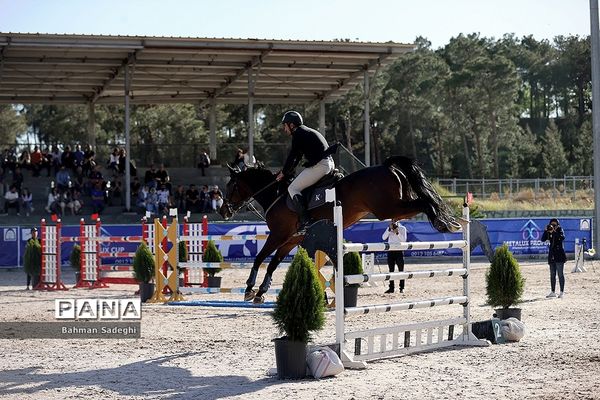 مسابقات جهانی سوارکاری  در ایران