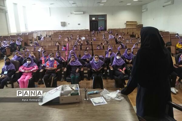 آموزش مهارت‌های تشکیلاتی به دانش‌آموزان دبستان دخترانه معارف6 ناحیه 3 شیراز