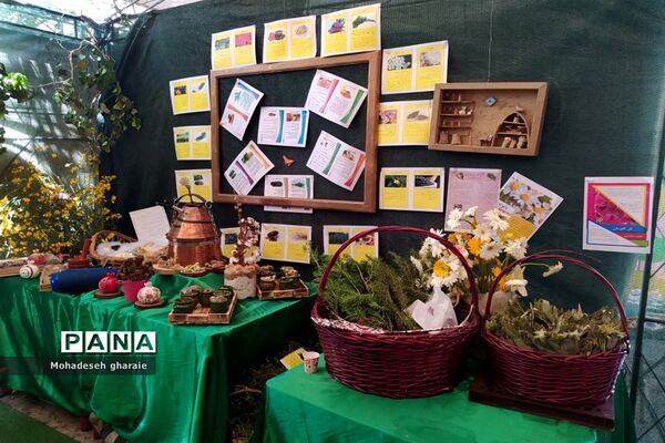 برپایی غرفه پژوهش‌سرای دانش‌آموزی ابوریحان منطقه جوادآباد و دیگر مناطق در بخش کهریزک، شهر ری