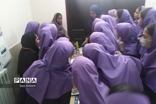 برگزاری نمایشگاه طرح جابربن حیان در دبستان معارف 6 ناحیه 3 شیراز