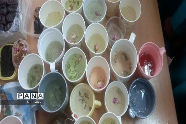 اردوی شاد درون‌مدرسه‌ای در دبستان دخترانه پروین اعتصامی شهرستان فیروزکوه