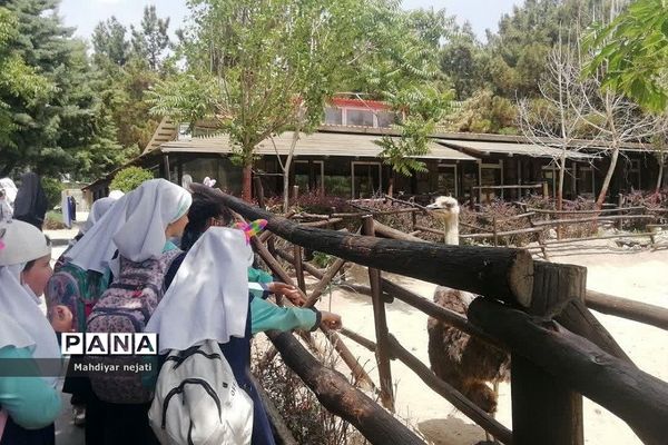 اردوی باغ پرندگان دانش‌آموزان  دبستان دخترانه  سما۲ رودهن