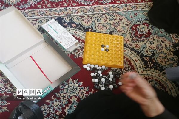 برگزاری کارگاه آموزشی بازی‌های فکری در خاتم
