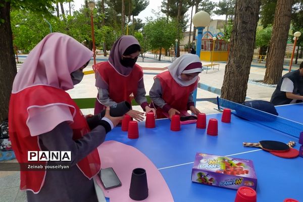 حضور دانش‌آموزان شهرستان اقلید در جشنواره فرهنگی ورزشی بازی‌های فکری مقطع ابتدایی