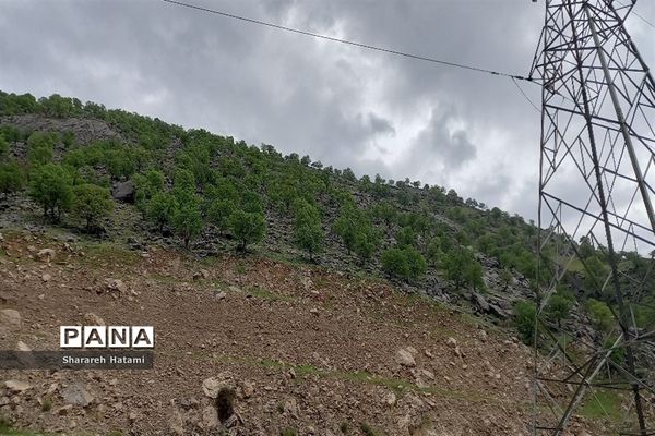 طبیعت سحرانگیز ایذه در فصل بهار