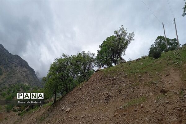 طبیعت سحرانگیز ایذه در فصل بهار
