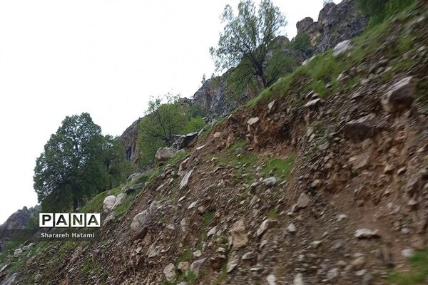 طبیعت سحرانگیز ایذه در فصل بهار