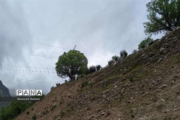 طبیعت سحرانگیز ایذه در فصل بهار