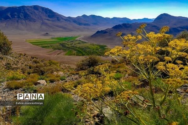 اردوی دانش‌آموزان مروستی در منطقه گردشگری کرخنگان