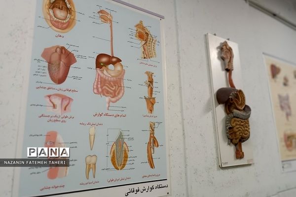 بازدید دانش‌آموزان دبیرستان حضرت زینب(س) از پژوهش‌سرای دانش‌آموزی جابربن‌حیان فشافویه