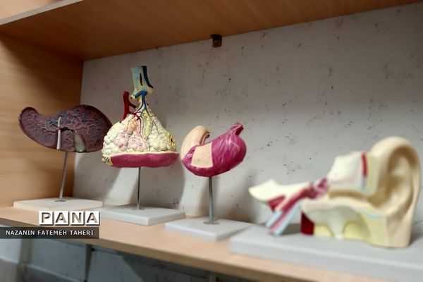 بازدید دانش‌آموزان دبیرستان حضرت زینب(س) از پژوهش‌سرای دانش‌آموزی جابربن‌حیان فشافویه