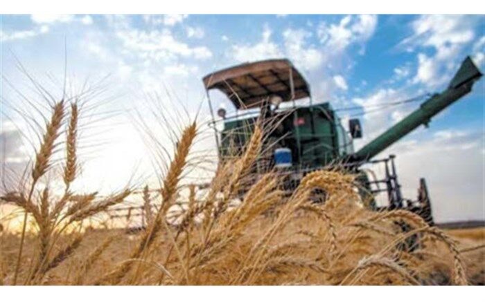 آمادگی کامل تعاون روستایی برای خرید تضمینی گندم