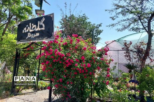 بازدید دانش‌آموزان آموزشگاه فرزانگان اسلامشهر از باغ گیاه‌شناسی ملی ایران