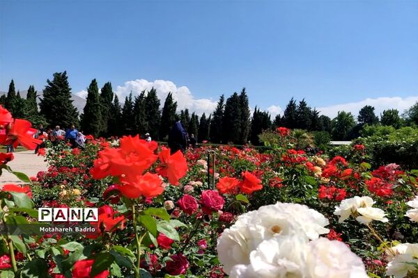 بازدید دانش‌آموزان آموزشگاه فرزانگان اسلامشهر از باغ گیاه‌شناسی ملی ایران