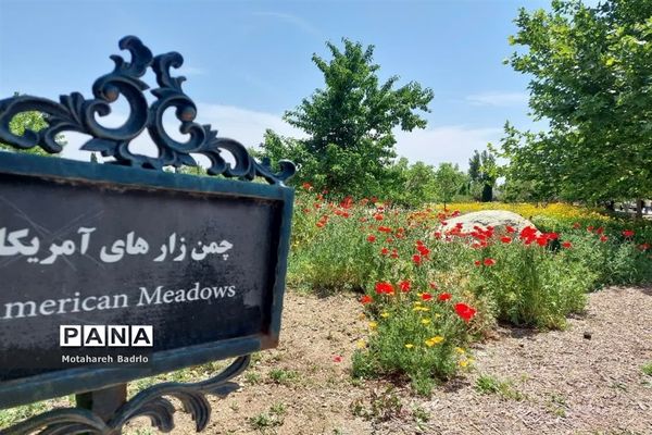 بازدید دانش‌آموزان آموزشگاه فرزانگان اسلامشهر از باغ گیاه‌شناسی ملی ایران