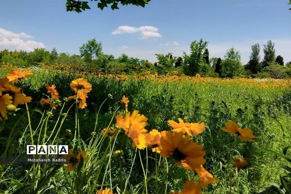بازدید دانش‌آموزان آموزشگاه فرزانگان اسلامشهر از باغ گیاه‌شناسی ملی ایران