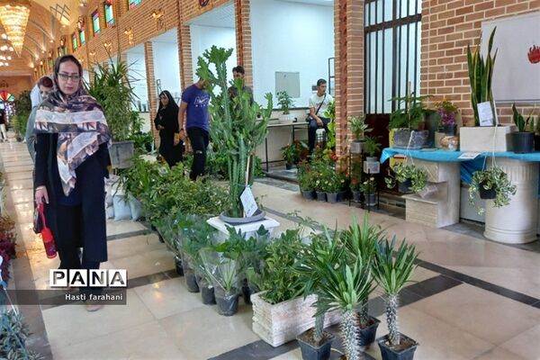 دومین نمایشگاه گل و گیاه در شهرستان قرچک‌