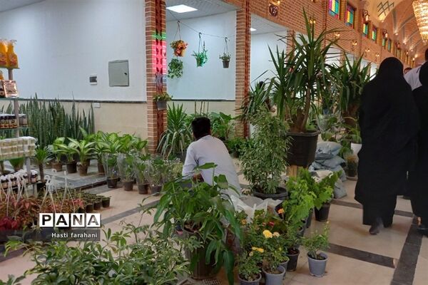 دومین نمایشگاه گل و گیاه در شهرستان قرچک‌