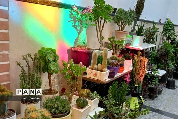 دومین نمایشگاه گل و گیاه در شهرستان قرچک‌