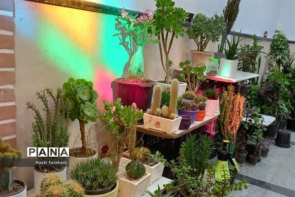 دومین نمایشگاه گل و گیاه در شهرستان قرچک‌