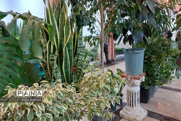 دومین نمایشگاه گل و گیاه در شهرستان قرچک‌