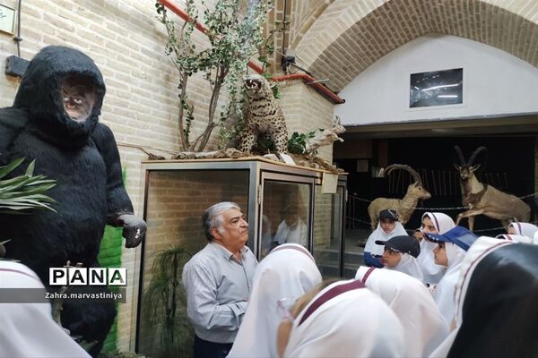 اردوی یک روزه دانش‌آموزان دبستان دخترانه زکیه مروست