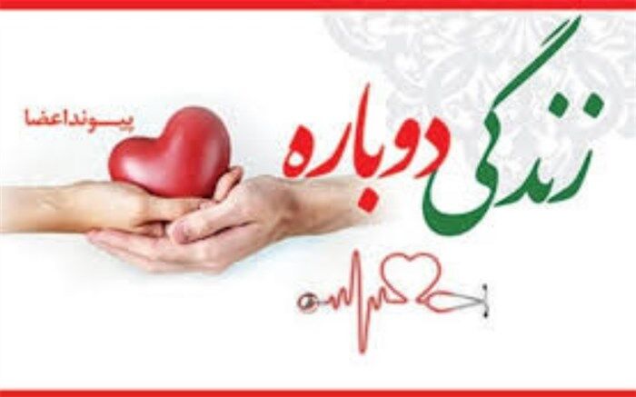 اهدا عضو، پایانی که ادامه زندگی دیگران می‌شود/فیلم