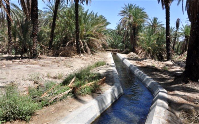 سامانه نیاز آبی گیاهان، مرجعی در الگوی کشت