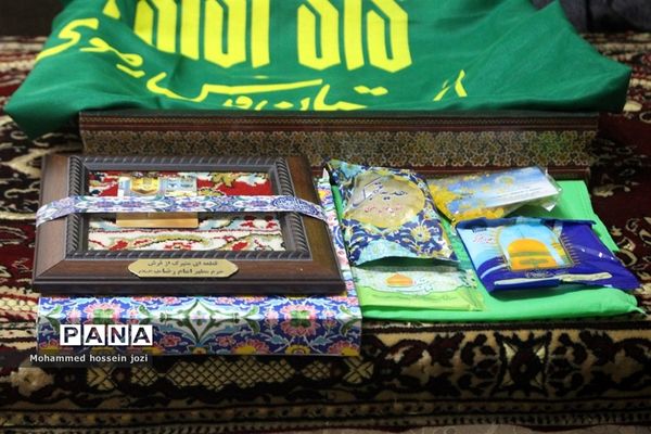 دیدار خادمیاران رضوی قم با مادر شهیدان عباسی