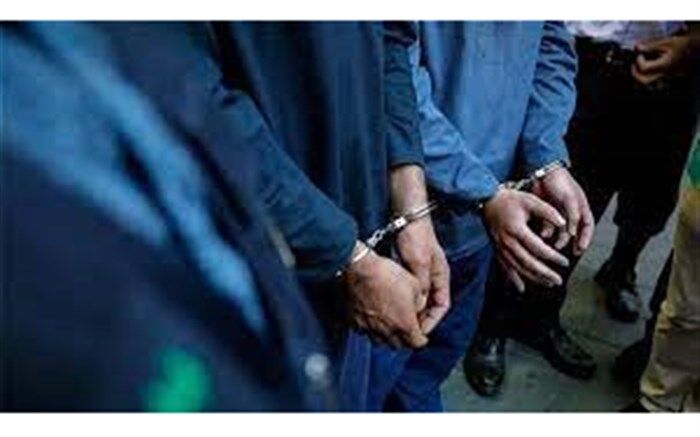 ۲۲ سارق و ۶ مالخر در خراسان جنوبی دستگیر شدند