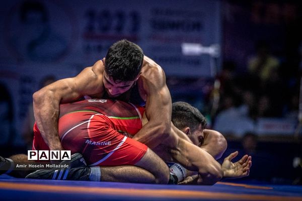 چهل و سومین دوره مسابقات کشتی آزاد جام تختی