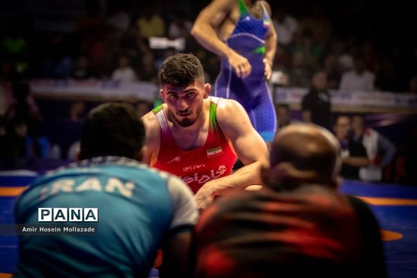 چهل و سومین دوره مسابقات کشتی آزاد جام تختی